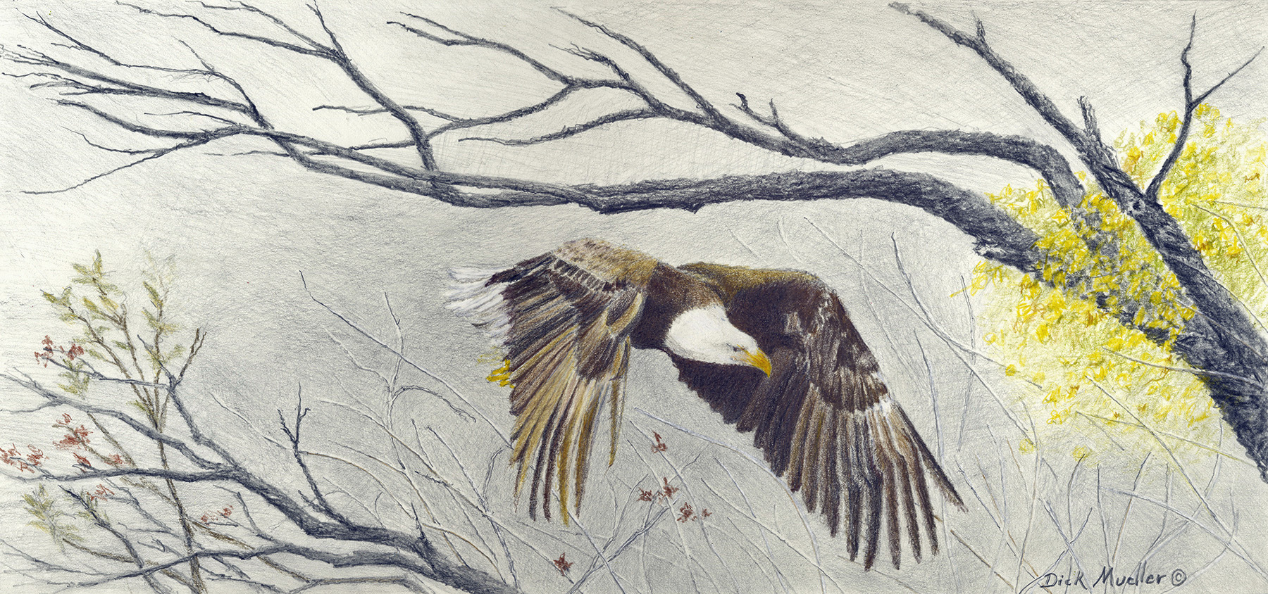 Local Cave Creek Artist Cave Creek Visitors Guide